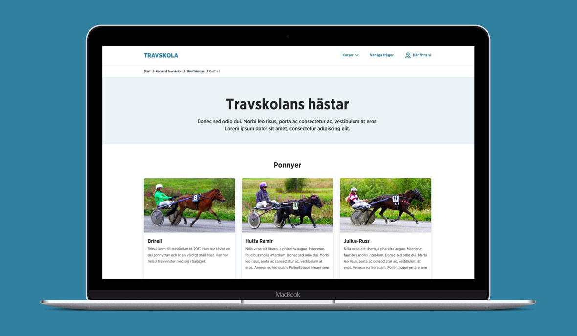 Travskola.se - Ny UX, design, SEO och webbutveckling - Limetta Digitalbyrå Travskola.se - Ny UX, design, SEO och webbutveckling - Limetta Digitalbyrå